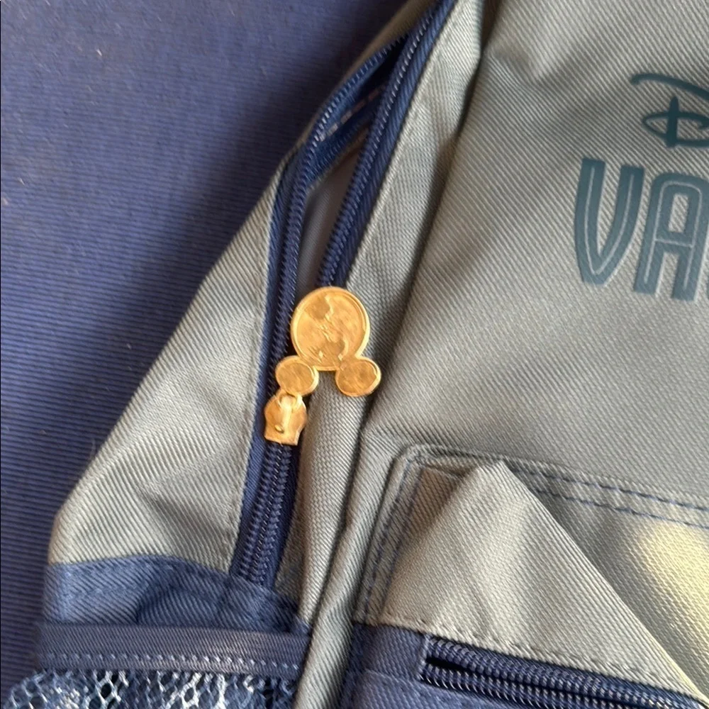Disney this backpack